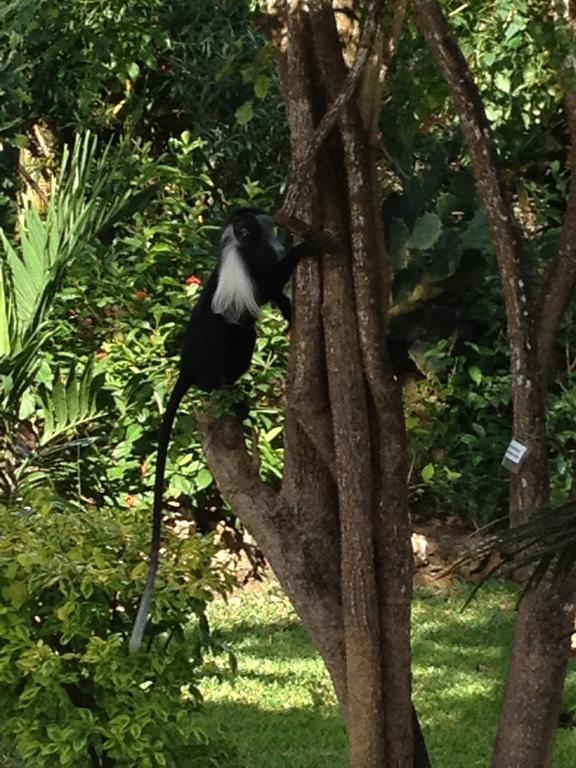 Marula Park Villa Diani Beach Szoba fotó